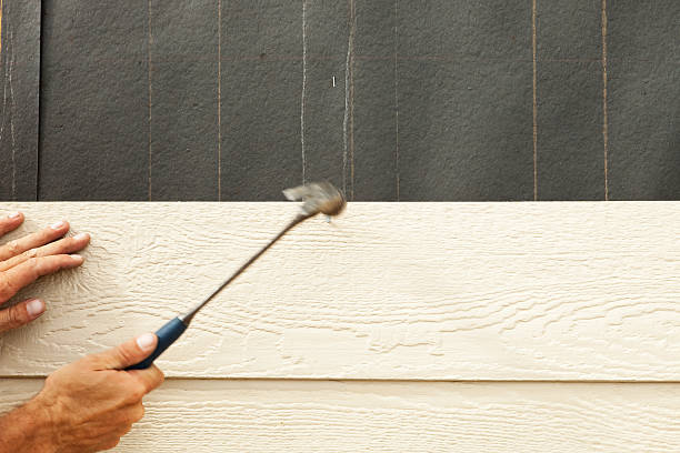 Best Stone Veneer Siding  in Paxton, IL