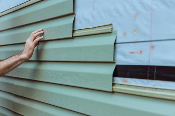 Best Brick Veneer Siding  in Paxton, IL